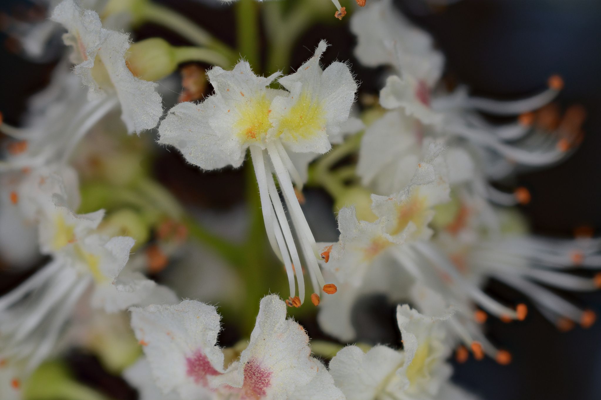 2018 05 01 18 53 33 (C)